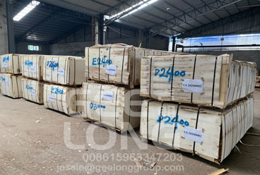 GeeLong ekspor 1full kontainer birch veneer ke klien kami